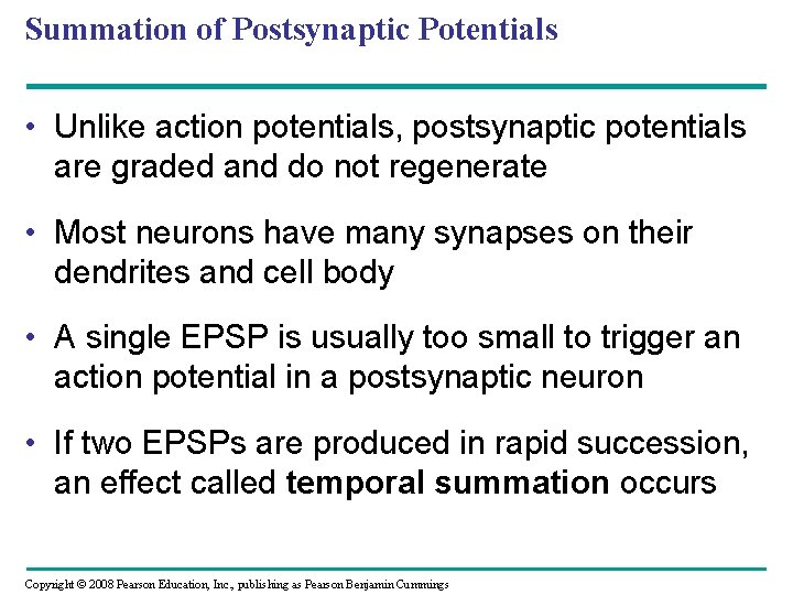 Summation of Postsynaptic Potentials • Unlike action potentials, postsynaptic potentials are graded and do