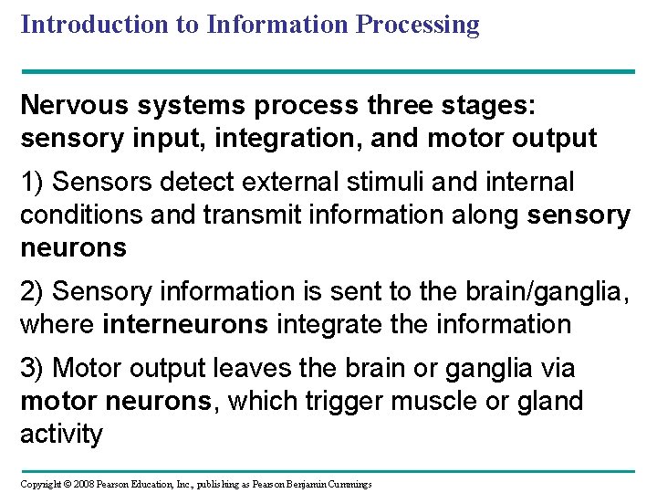 Introduction to Information Processing Nervous systems process three stages: sensory input, integration, and motor