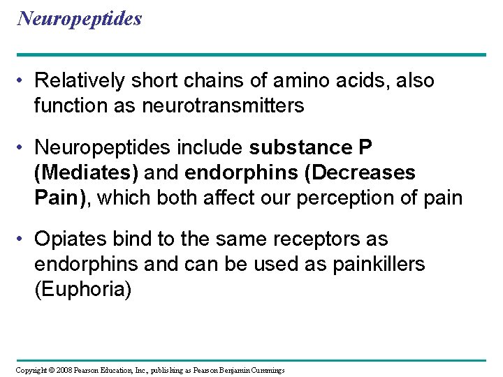 Neuropeptides • Relatively short chains of amino acids, also function as neurotransmitters • Neuropeptides