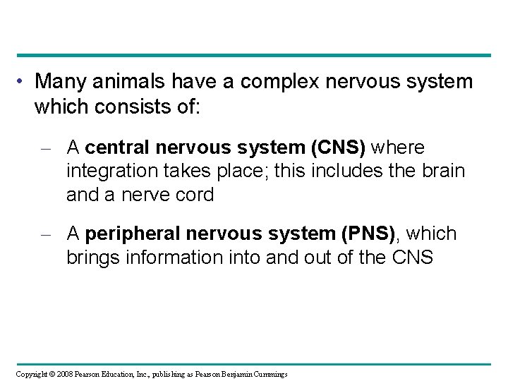  • Many animals have a complex nervous system which consists of: – A