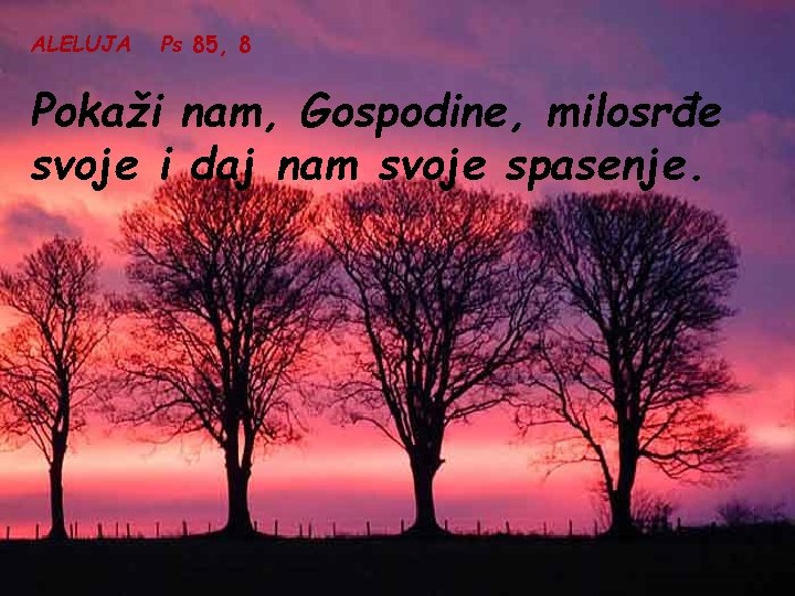 ALELUJA Ps 85, 8 Pokaži nam, Gospodine, milosrđe svoje i daj nam svoje spasenje.