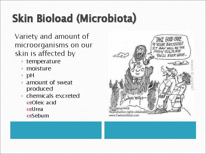 Skin Bioload (Microbiota) Variety and amount of microorganisms on our skin is affected by