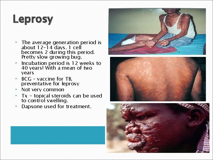 Leprosy The average generation period is about 12 -14 days. 1 cell becomes 2