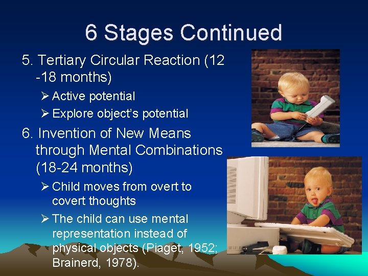 6 Stages Continued 5. Tertiary Circular Reaction (12 -18 months) Ø Active potential Ø