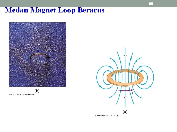 Medan Magnet Loop Berarus 55 