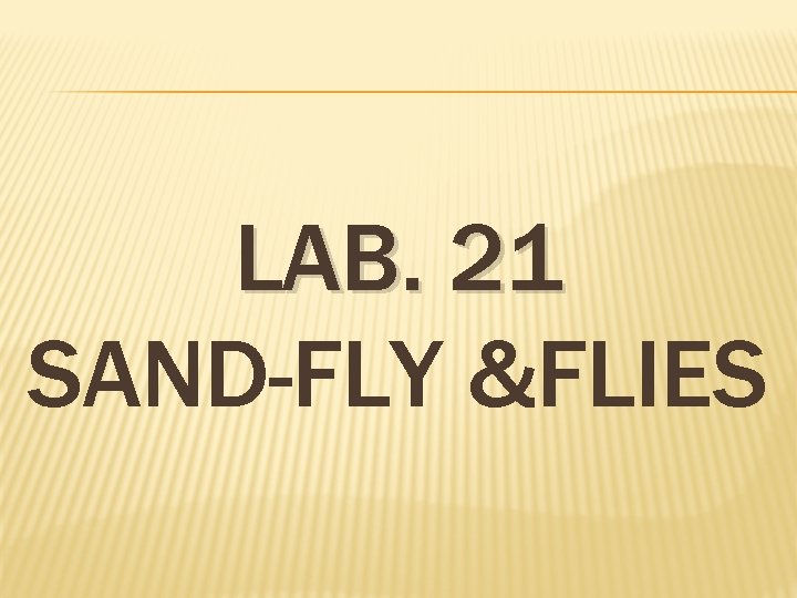 LAB. 21 SAND-FLY &FLIES 