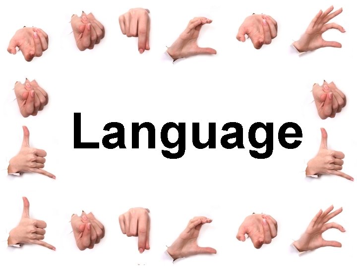 Language 