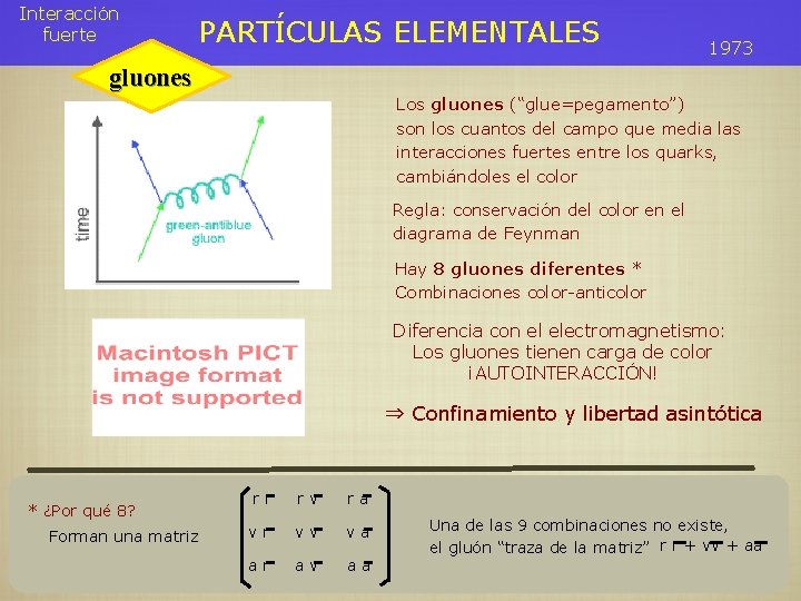 Interacción fuerte PARTÍCULAS ELEMENTALES 1973 gluones Los gluones (“glue=pegamento”) son los cuantos del campo