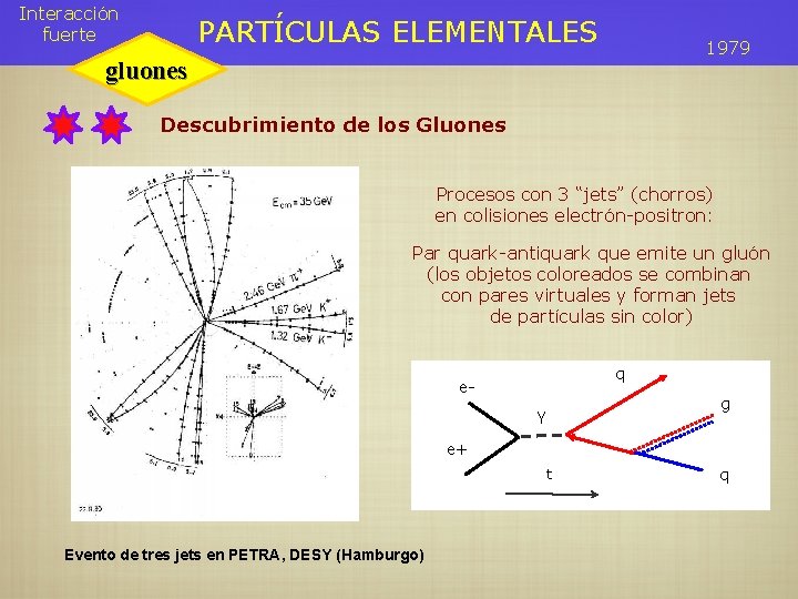 Interacción fuerte PARTÍCULAS ELEMENTALES 1979 gluones Descubrimiento de los Gluones Procesos con 3 “jets”