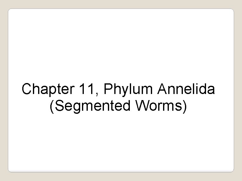 Chapter 11, Phylum Annelida (Segmented Worms) 