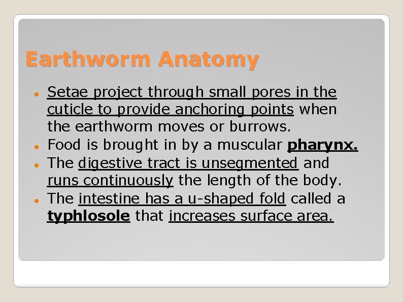 Earthworm Anatomy Setae project through small pores in the cuticle to provide anchoring points