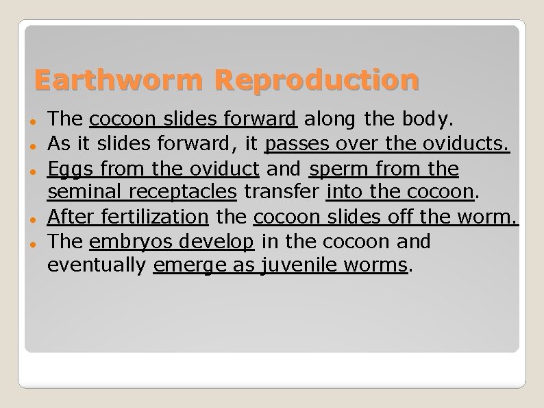 Earthworm Reproduction The cocoon slides forward along the body. As it slides forward, it
