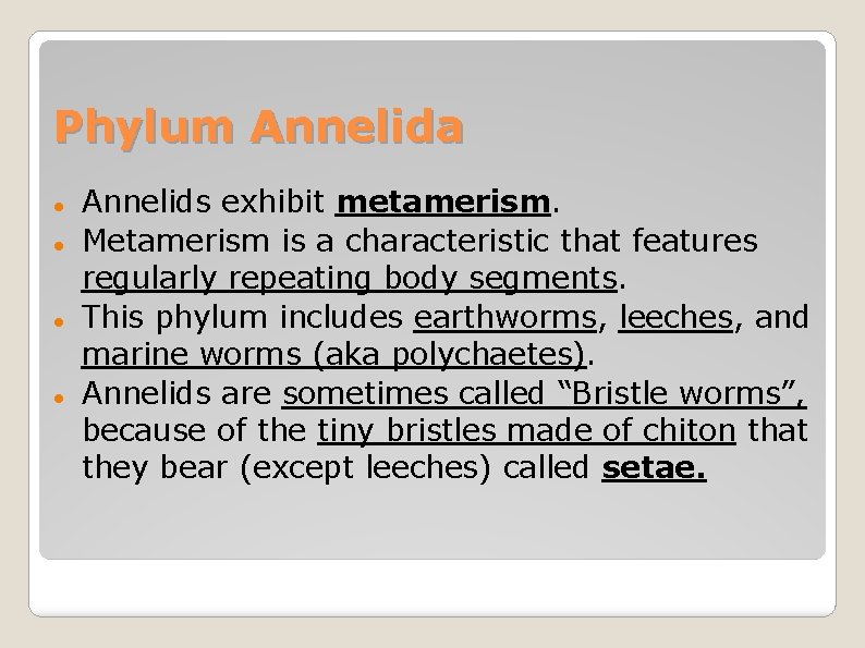 Phylum Annelida Annelids exhibit metamerism. Metamerism is a characteristic that features regularly repeating body