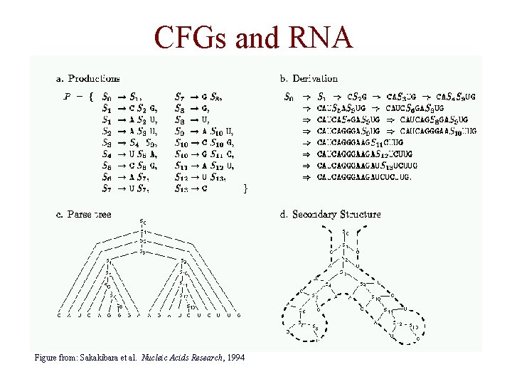 CFGs and RNA Figure from: Sakakibara et al. Nucleic Acids Research, 1994 CFGs and RNA Figure from: Sakakibara et al. Nucleic Acids Research, 1994