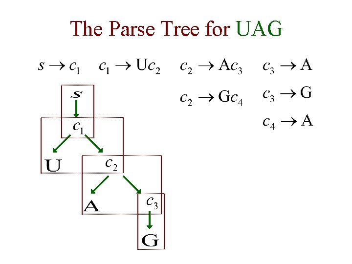 The Parse Tree for UAG The Parse Tree for UAG