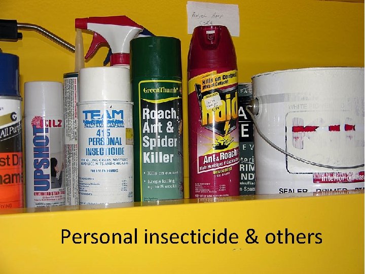 Personal insecticide & others 