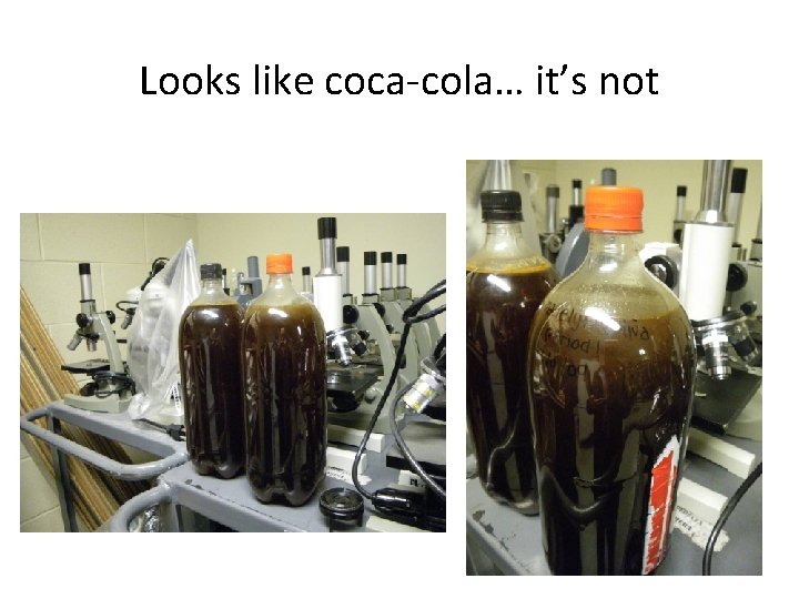 Looks like coca-cola… it’s not 