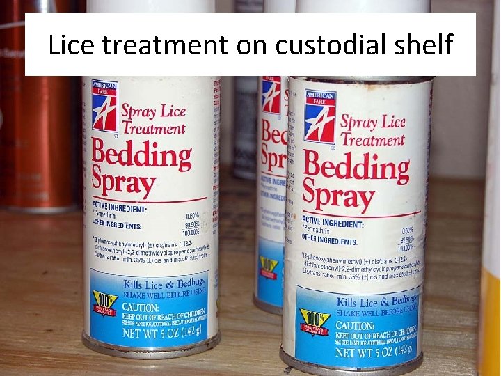 Lice treatment on custodial shelf 