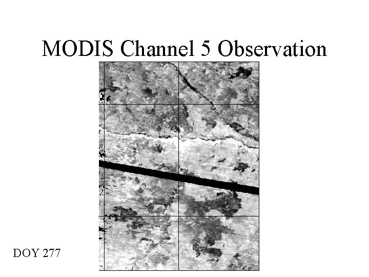 MODIS Channel 5 Observation DOY 277 