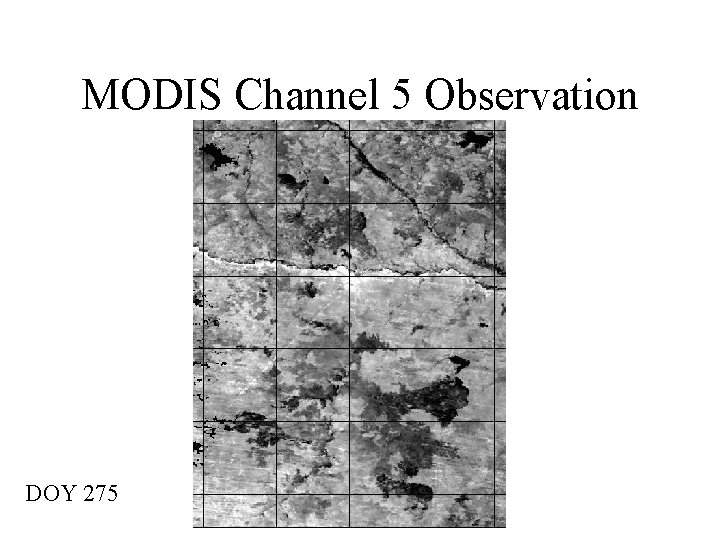 MODIS Channel 5 Observation DOY 275 