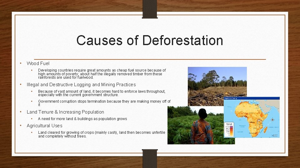 Causes of Deforestation • Wood Fuel • Developing countries require great amounts as cheap