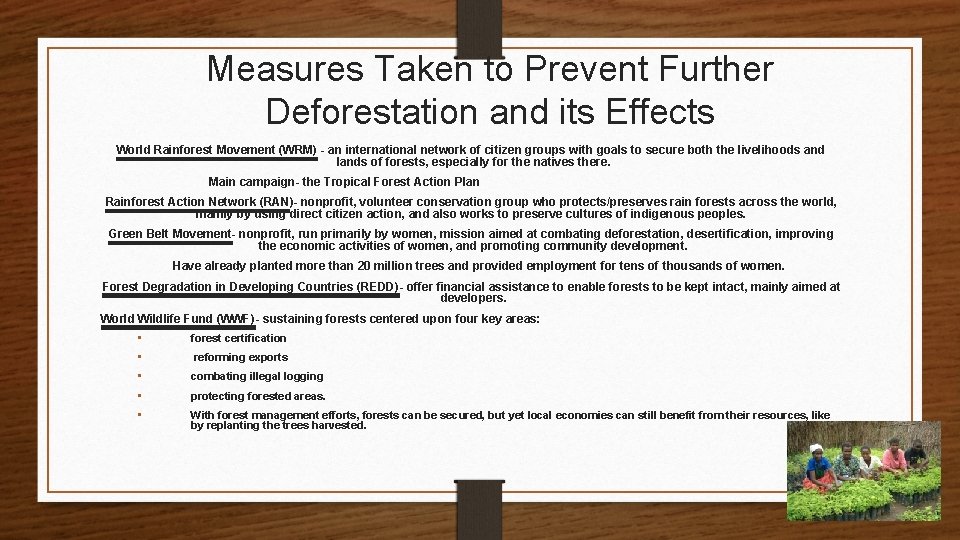 Measures Taken to Prevent Further Deforestation and its Effects World Rainforest Movement (WRM) -