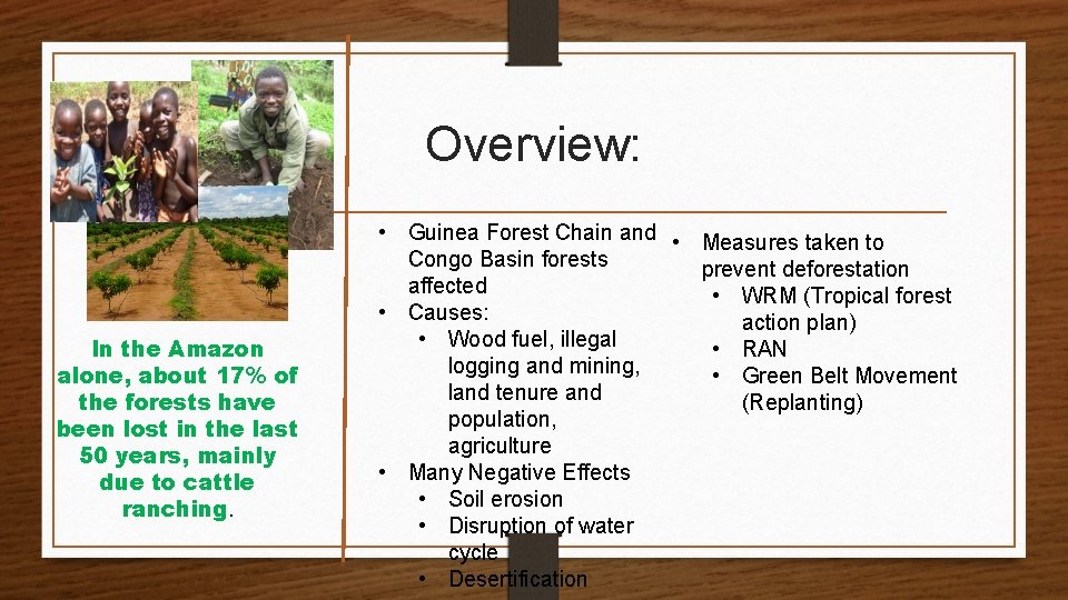 Overview: In the Amazon alone, about 17% of the forests have been lost in