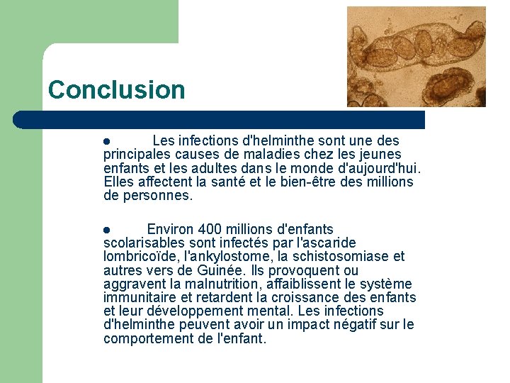 Conclusion l Les infections d'helminthe sont une des principales causes de maladies chez les
