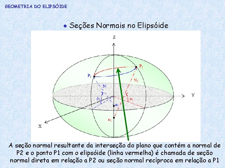 GEOMETRIA DO ELIPSÓIDE Seções Normais no Elipsóide A seção normal resultante da interseção do