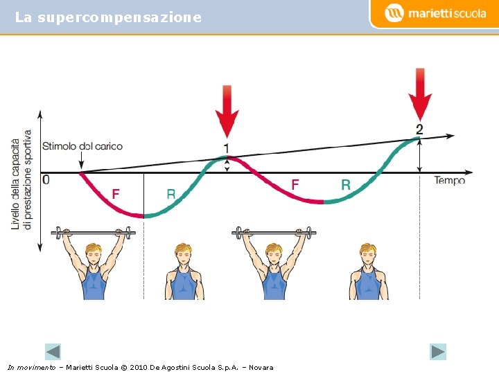 La supercompensazione In movimento – Marietti Scuola © 2010 De Agostini Scuola S. p.