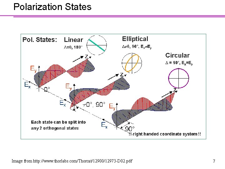 Polarization States Image from http: //www. thorlabs. com/Thorcat/12900/12973 -D 02. pdf 7 