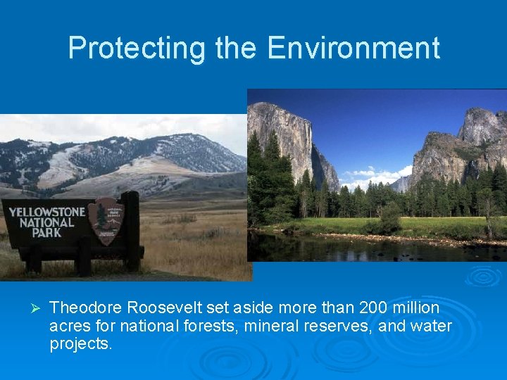 Protecting the Environment Ø Theodore Roosevelt set aside more than 200 million acres for