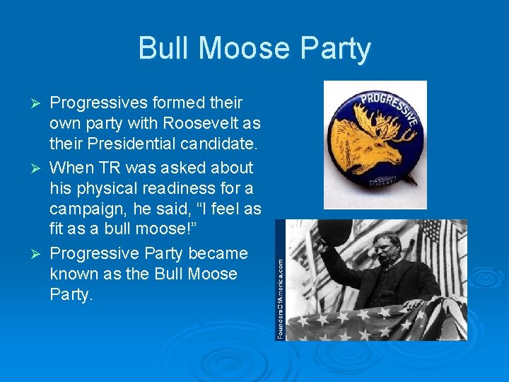 Bull Moose Party Progressives formed their own party with Roosevelt as their Presidential candidate.