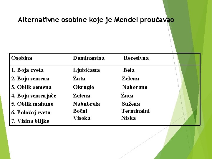 Alternativne osobine koje je Mendel proučavao Osobina Dominantna 1. Boja cveta 2. Boja semena