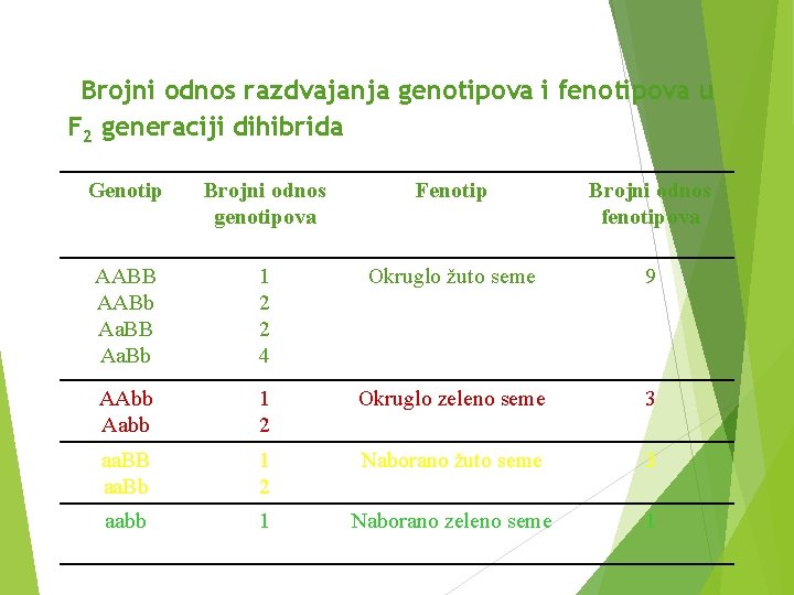 Brojni odnos razdvajanja genotipova i fenotipova u F 2 generaciji dihibrida Genotip Brojni odnos