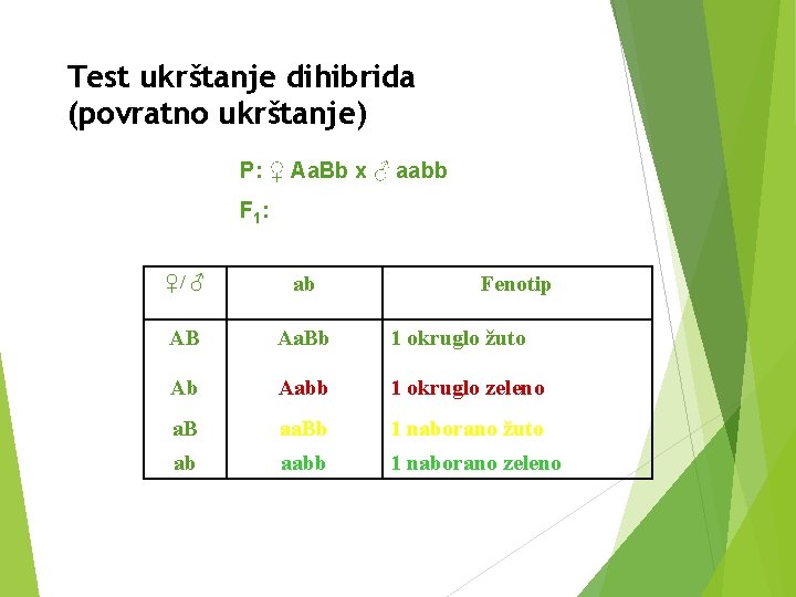 Test ukrštanje dihibrida (povratno ukrštanje) P: ♀ Aa. Bb x ♂ aabb F 1