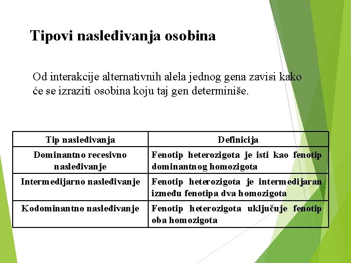 Tipovi nasleđivanja osobina Od interakcije alternativnih alela jednog gena zavisi kako će se izraziti