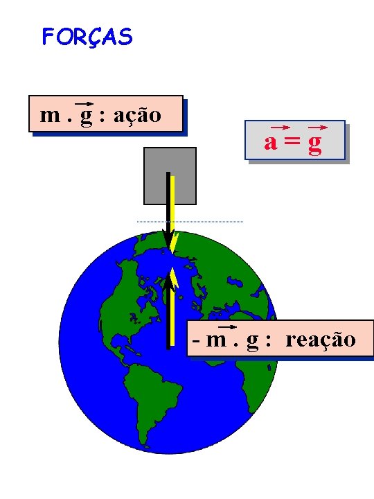 FORÇAS m. g : ação a=g - m. g : reação 