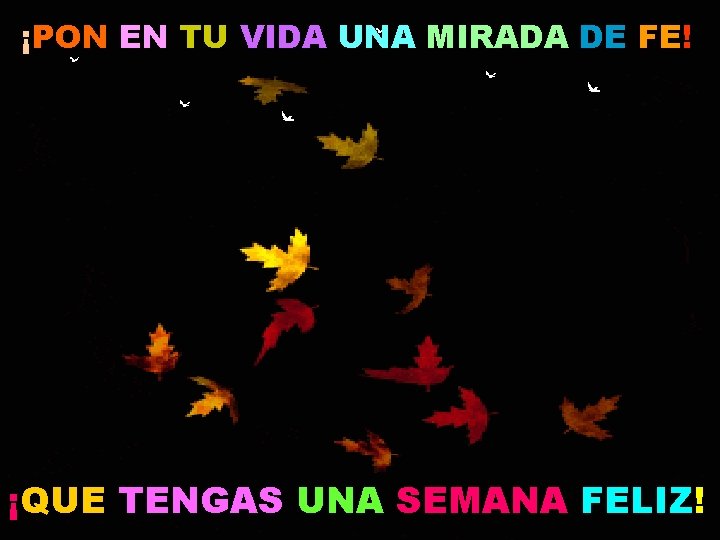 ¡PON EN TU VIDA UNA MIRADA DE FE! ¸ 1 ¡QUE TENGAS UNA SEMANA