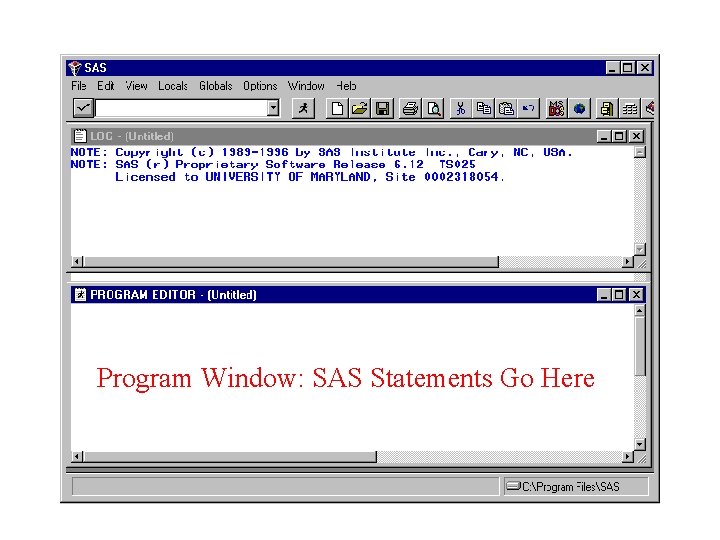 Program Window: SAS Statements Go Here 