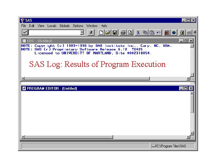 SAS Log: Results of Program Execution 