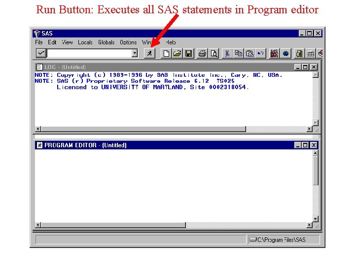 Run Button: Executes all SAS statements in Program editor 