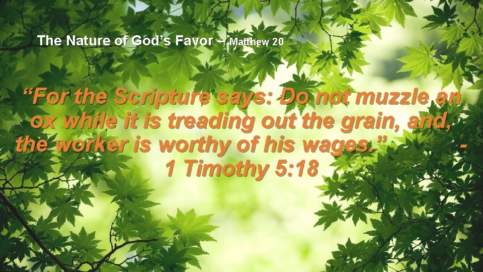 The Nature of God’s Favor – Matthew 20 “For the Scripture says: Do not