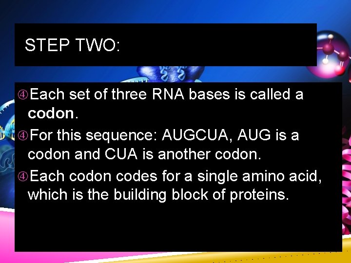 STEP TWO: Each set of three RNA bases is called a codon. For this