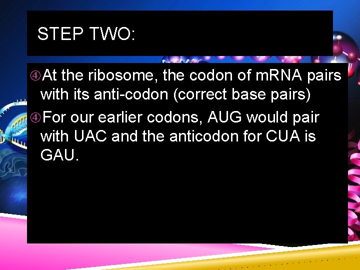 STEP TWO: At the ribosome, the codon of m. RNA pairs with its anti-codon