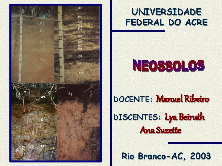 UNIVERSIDADE FEDERAL DO ACRE DOCENTE: Manuel Ribeiro DISCENTES: Lya Beiruth Ana Suzette Rio Branco-AC,