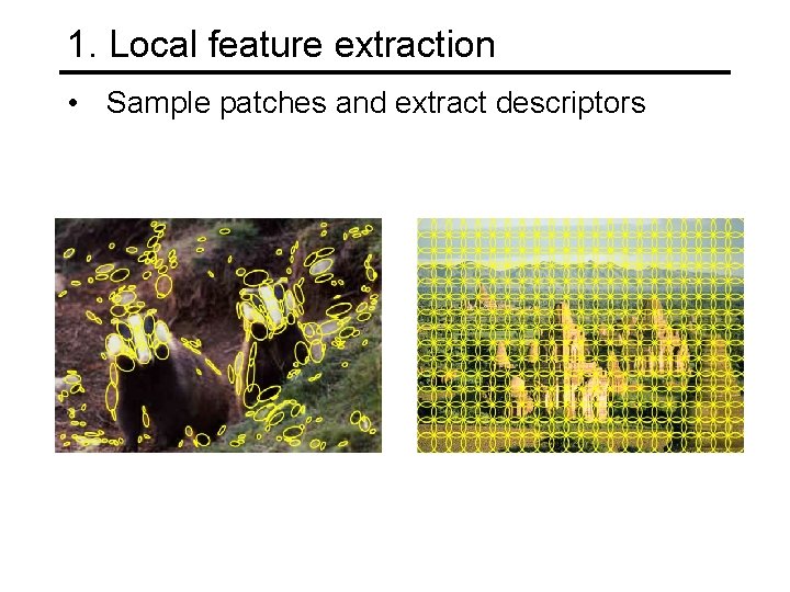 1. Local feature extraction • Sample patches and extract descriptors 