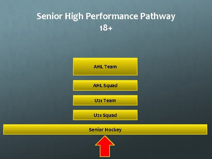 Senior High Performance Pathway 18+ AHL Team AHL Squad U 21 Team U 21 Senior High Performance Pathway 18+ AHL Team AHL Squad U 21 Team U 21
