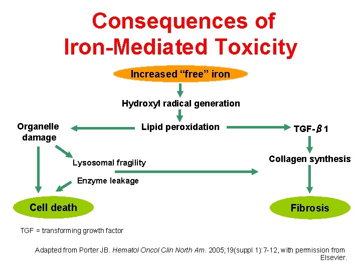 Consequences of Iron-Mediated Toxicity Increased “free” iron Hydroxyl radical generation Organelle damage Lipid peroxidation