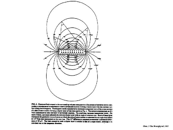 Gloor, J Clin Neurophysiol, 1985 Gloor, J Clin Neurophysiol, 1985